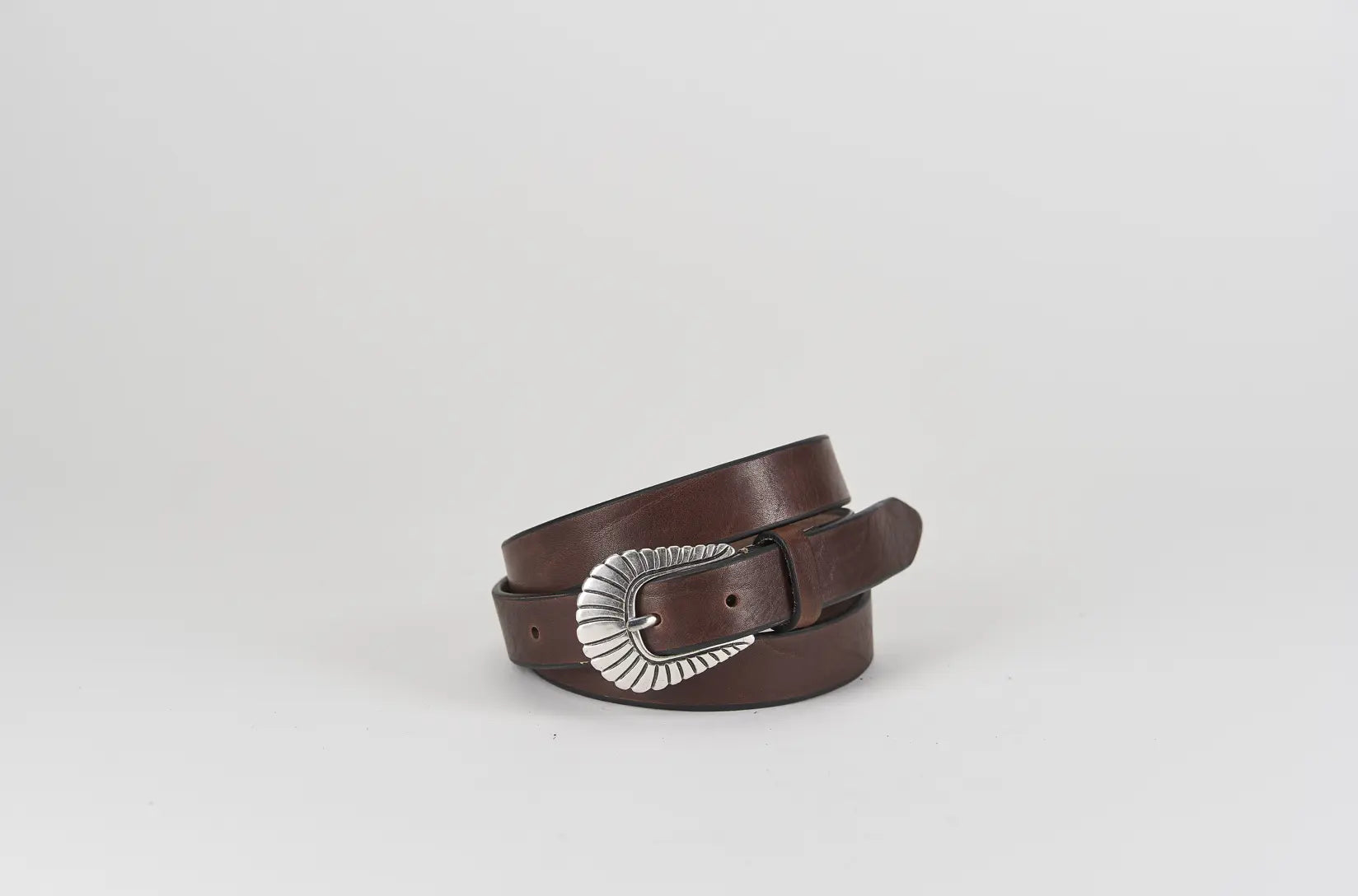 Sandro Barbera 019 25 cintura donna moro 2,5 cm