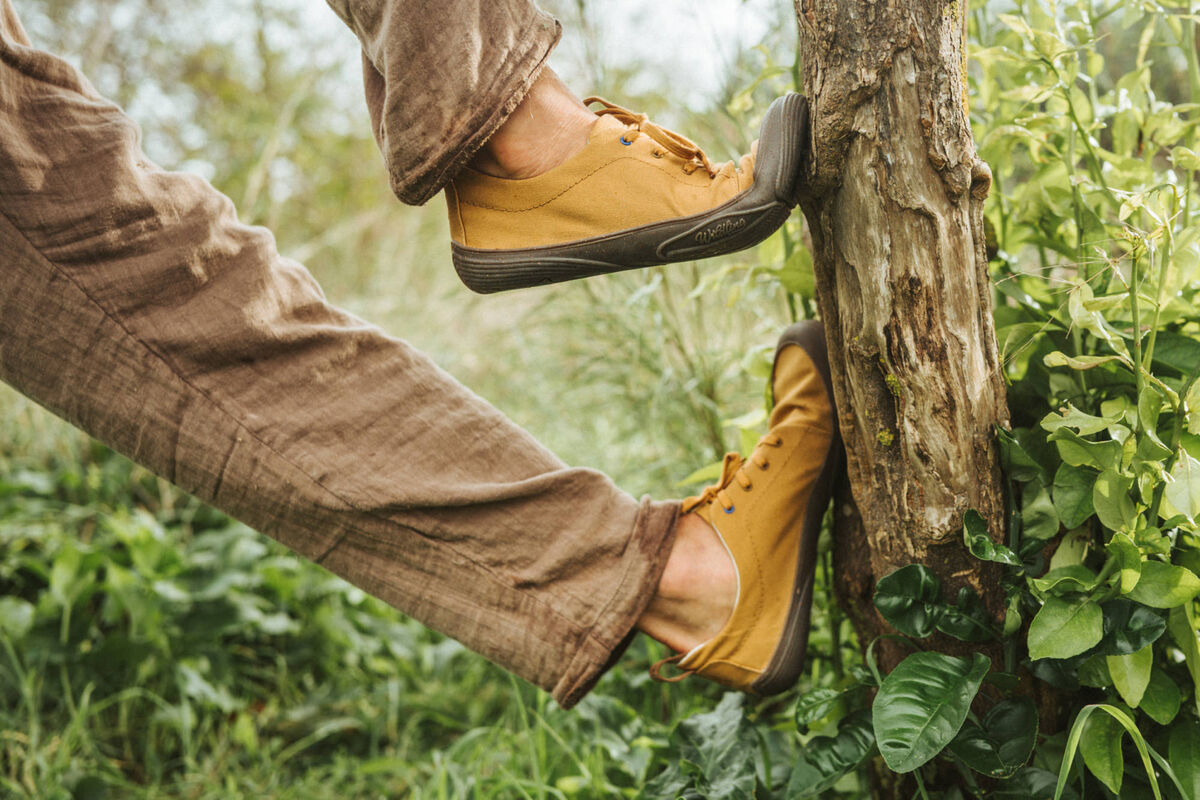 Wildling Robulo Camel scarpa bassa cotone idrorepellente