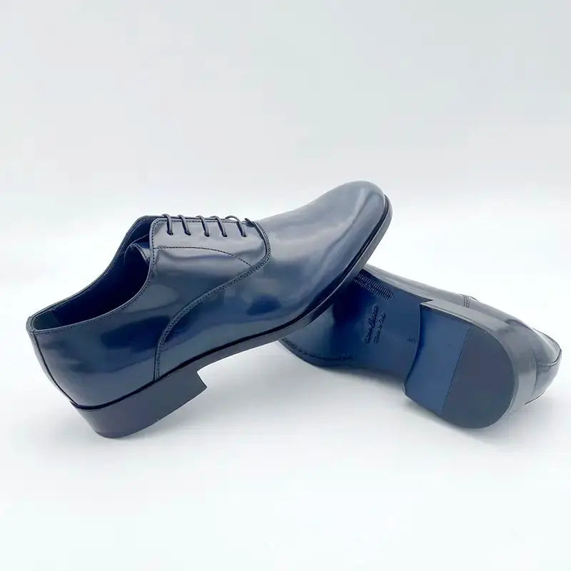 Sandro Barbera 1132 Oxford Liscio Uomo Blu Pelle Cerimonia